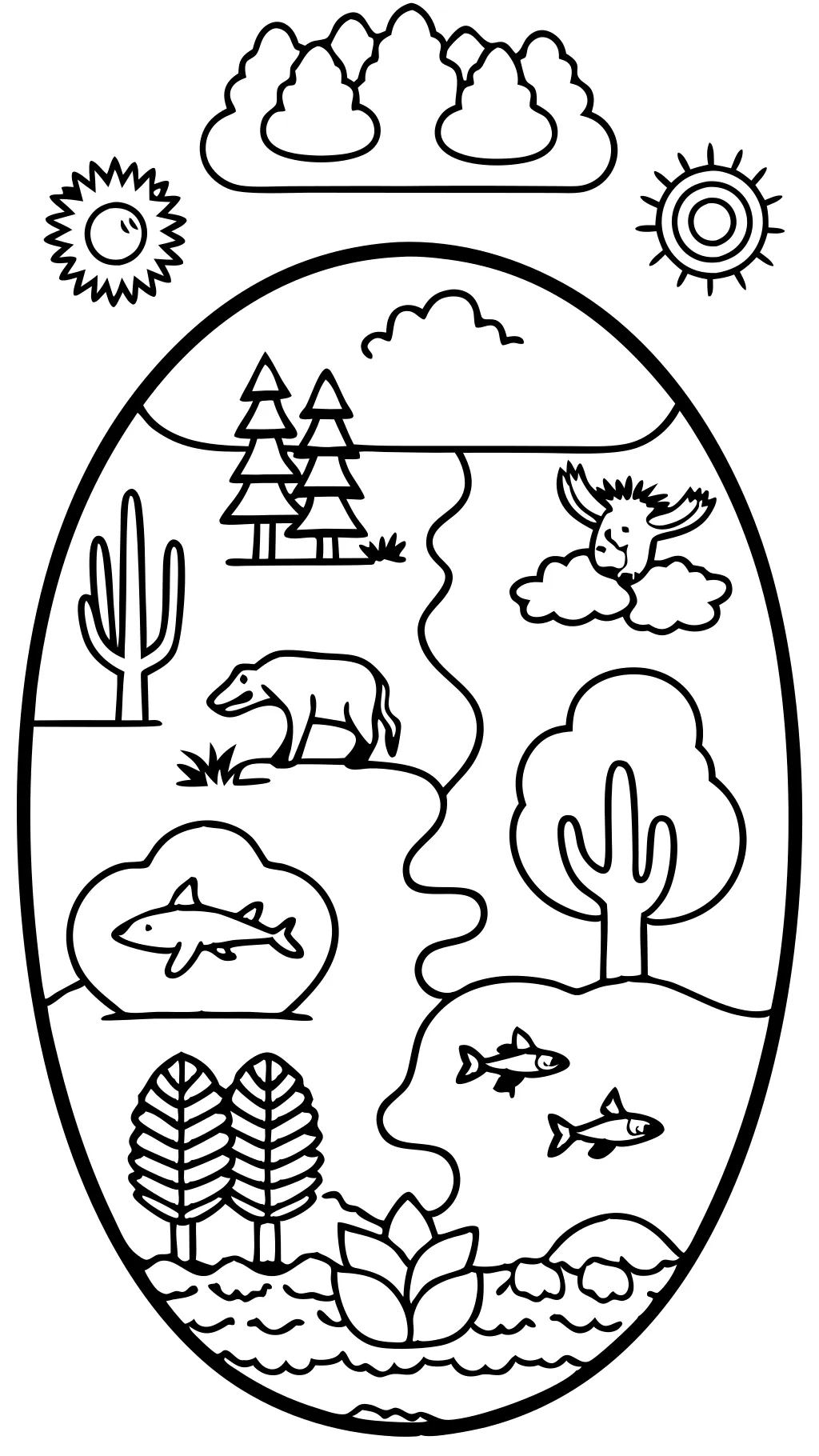 color the north american biome back page answer key